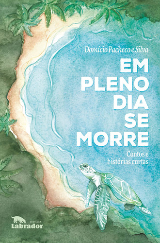 Em pleno dia se morre: Contos e histórias curtas, de Pacheco e Silva, Domício. Editora Labrador Ltda, capa mole em português, 2021