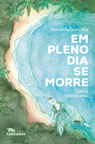 Em pleno dia se morre: Contos e histórias curtas, de Silva, Domício Pacheco e. Editorial Editora Labrador Ltda, capa mole em português, 2021
