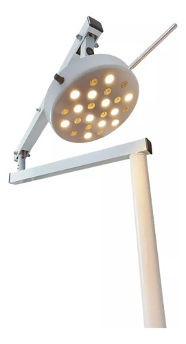 Foco Teto Cirúrgico 24 Leds Bicolor Veterinario Deltalife
