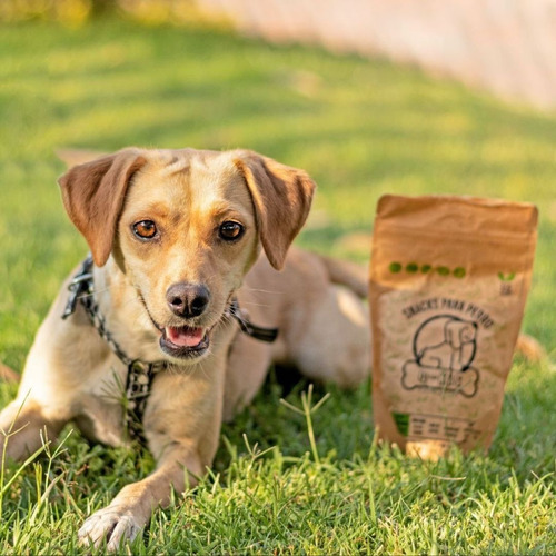 Imagen 5 de 8 de Premios Para Perro Naturales Qkis Paquete De 4