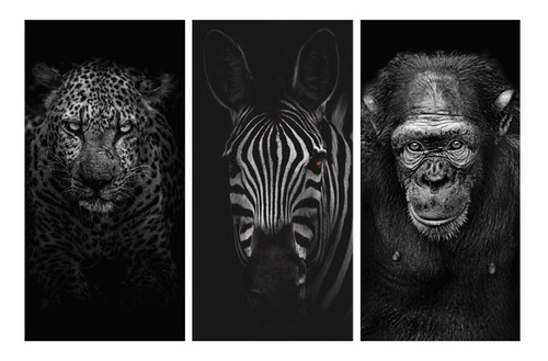 Imagen 1 de 10 de Cuadros Animales Triptico Fotos Modernos 100x90 Tela