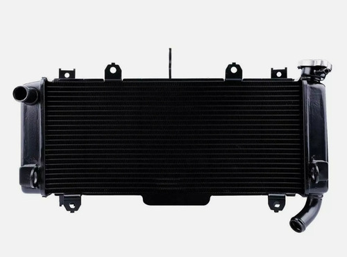 Radiador Para Moto Kawasaki Ninja Z650 Er650 2017 A 2021