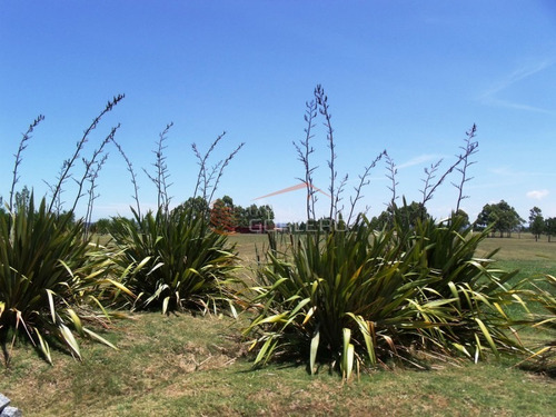 Terreno En Venta En Punta Del Este, La Barra, Barrio Privado El Quijote - Ref: 20940
