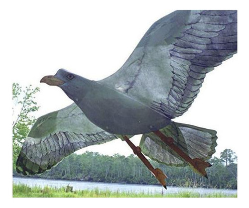 Cometa Jackite Sea Gull, 425 Envergadura