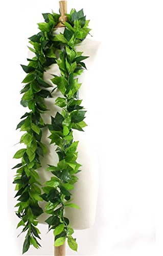 Aloha Outlet: Green Premium Maile Open Lei