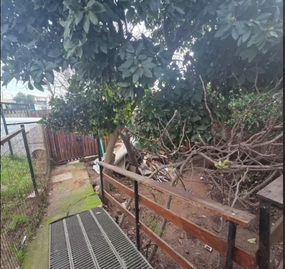 Imagen 1 de 3 de Propiedad Con 2 Casa En Sector Forestal Alto, A Un Costado D