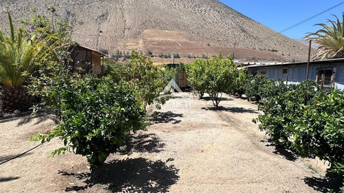 Arriendo Casa En Vicuña , Valle De Elqui