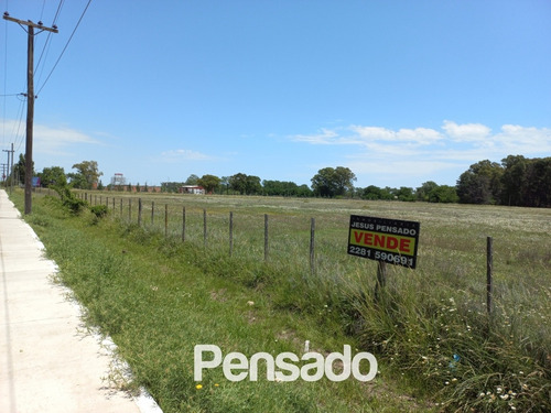 Imagen 1 de 18 de En Venta 1 Hectarea Con Servicios