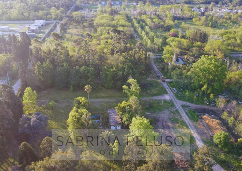 Lotes En Venta Moreno - La Reja