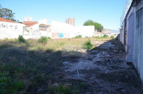Imagem 2 de 2 de Terreno Comercial À Venda, Vila Galvão, Guarulhos - Te0137. - Te0137