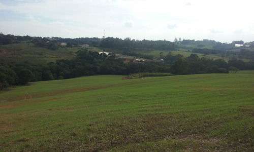 Imagem 7 de 8 de Sítio 9 Alqueires Planta 7 Alqueires(sem Casa,só Terra),terra Mista,fácil Acesso - St00084 - 69659509
