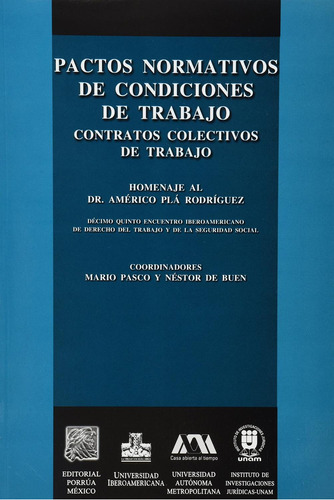 Pactos normativos de condiciones de trabajo: No, de Pasco, Mario., vol. 1. Editorial Porrua, tapa pasta blanda, edición 1 en español, 2009