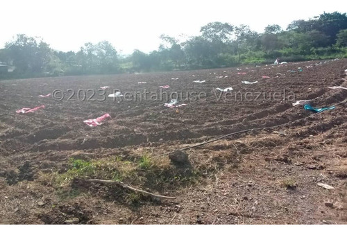 Carlos Colmenarez Vende Fabulosa Finca De 13ha. Con: 2 Lagunas, Agua Por Buco A Gravedad, Posee Electricidad 110 Y 220, Ubicada A Pocos Minutos Del Centro Del Tocuyo Con Acceso Directo De La Autopista