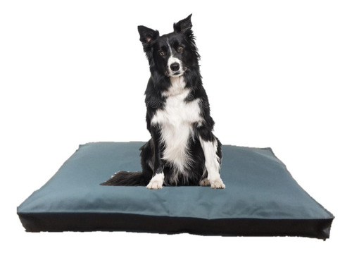 Colchón Liso Antidesgarro 90x60x10 Cama Perros Mascotas Gato