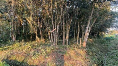 Imagem 1 de 7 de Terreno De Esquina No Litoral, Com 290 M2, Em Itanhaém