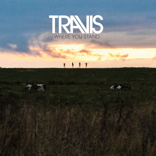 Vinilo: Travis Where You Stand, 180 G, Vinilo Lp Importado D