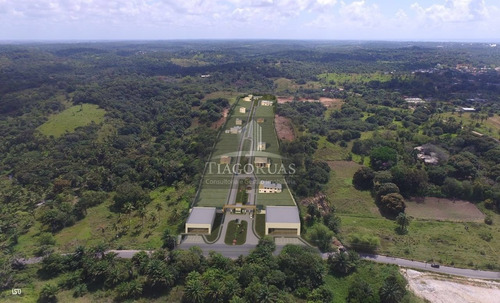 Imagem 12 de 17 de Residencial Alvorada - Condomínio De Lotes De 300 M² A 370 M² A Partir De R$ 186 Mil - Te00002 - 70345630
