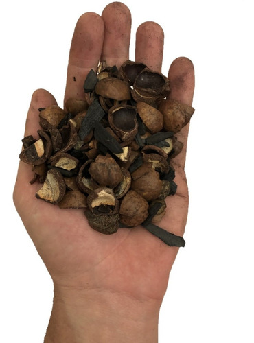Imagem 1 de 3 de Casca De Macadâmia Com Carvão Orquídeas - Tamanho 5 Litros