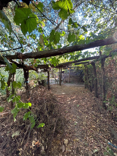 Propiedad Con Terreno De 6000 M2 Sector San Gerardo