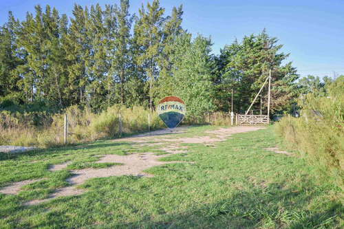 Imagen 3 de 6 de Lote En Venta, Villa Parque Sicardi