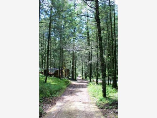 Imagen 3 de 12 de Terreno En Venta Compra Tu Terreno Y Construye La Cabaña De Tus Sueños!
