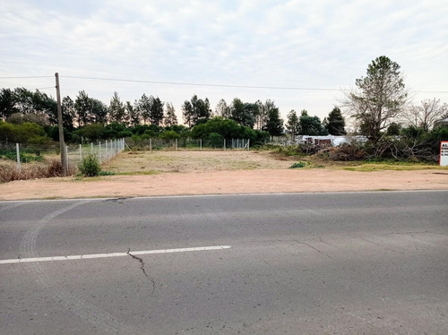 Imagen 9 de 9 de Terreno - Gualeguaychu