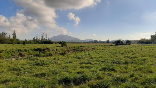 Campo De 26 Has A Metros De Ruta 9 En Pan De Azúcar