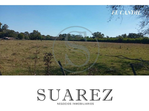 Imagen 3 de 6 de 1 Hectáreas En Venta San Andrés De Giles