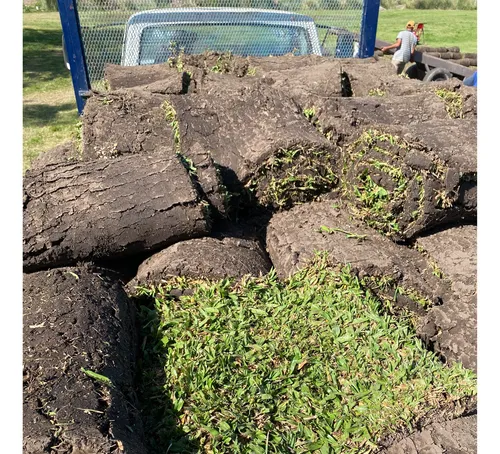 comprar Grama Bahiana Natural  Productor Directo, Retiro Fácil