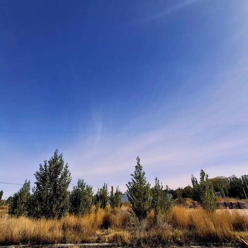 Terreno En Venta, Loteo Los Cedros 3, Plottier.
