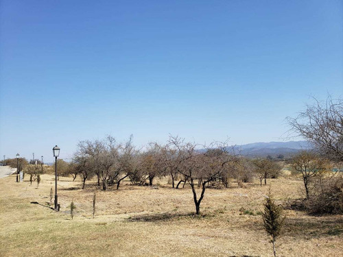 Imagen 10 de 12 de Terreno Venta El Terron Mendiolaza