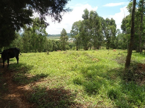 Imagem 29 de 30 de Vendo Área Na Estiva Em Louveira Com 150 Mil M². - Ar00006 - 2586566