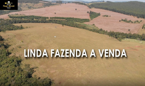 Imagem 1 de 19 de Excelente Fazenda Á Venda Com Ótima Localização Sarutaiá-piraju - Fa00036 - 68204645