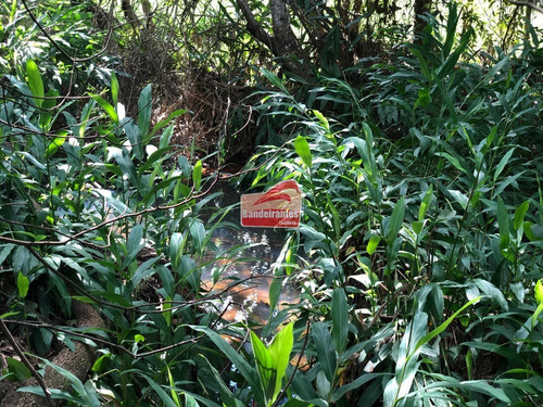 Chácara À Venda, Fazendinhas Amaro - Lagoa Santa/mg - 1393