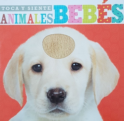 Toca Y Siente Animales Bebes