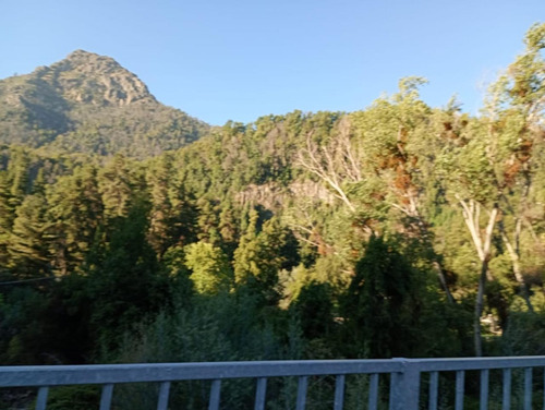 Molina, Radal Parcela De 5.000 M2 Rodeada De Bosque Nativo