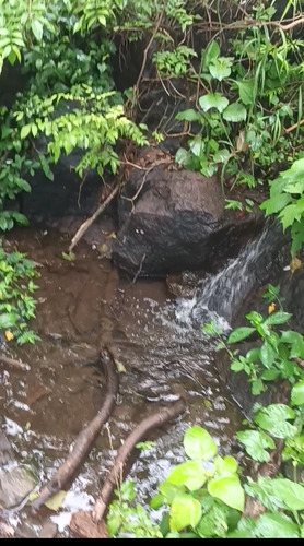 Imagen 2 de 30 de Se Vende Finca De 154 Manzanas