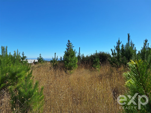Vende Sitio L37 5.000 M2 Vista Al Mar Pichilemu
