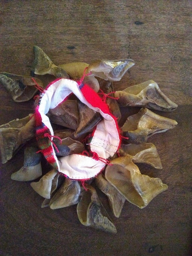 Chajchas Pezuñas De Cabra Norteña