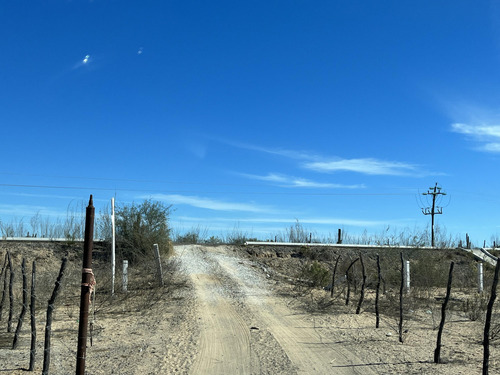 Km 43, El Mezquite De Don Dominguez