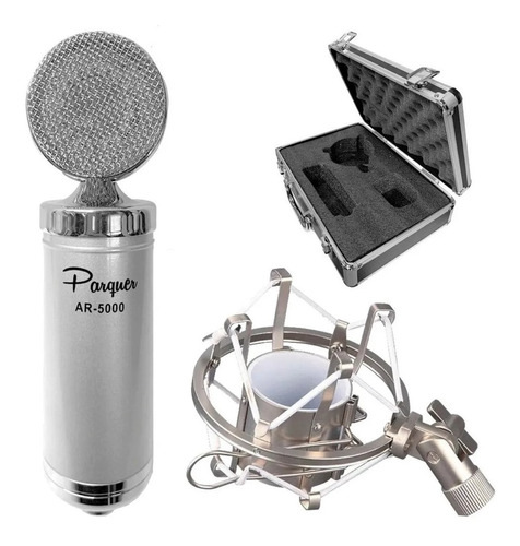 Microfono Condenser Cardioide Parquer Ar-5000 Con Estuche
