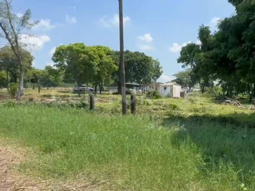 Terreno Venta 68.5 Hectáreas Zona Cercana Parque Industrial Santa Rita Veracruz