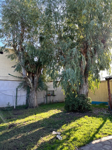 Venta Quinta 4 Amb. S/lote 24.73x45,50m² En Paso Del Rey - Con Pileta Y Quincho