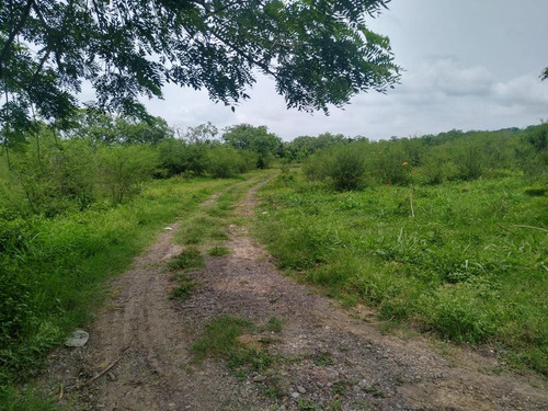 Venta Rancho 109 Has Autopista A Tampico En Tamiahua Veracruz