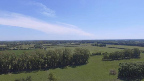 Imagen 19 de 20 de Casa Campo En Venta Ubicado En Pilar, G.b.a. Zona Norte