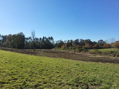Parcela Con Bosque En Refugio Los Lagos