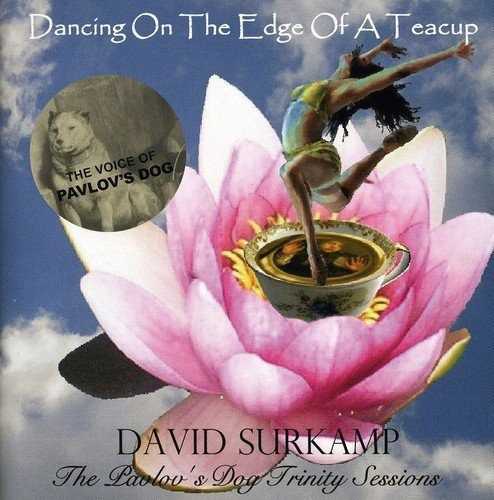 Cd Dancing On The Edge Of A Teacup - David Surkamp