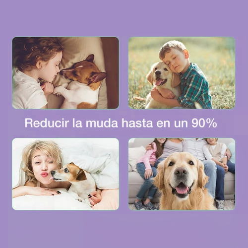 Cepillo Peine Deslanador Perro Gato Para Quita Pelo 2 En 1 Color Púrpura
