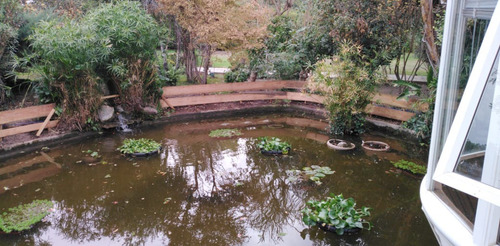 Casa De Arquitectura Única Y Preciosos Jardines Y Entorno