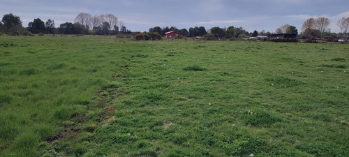 Imagen 7 de 11 de Predio Agrícola 1,5 Ha En Quema Del Buey A 38 Km De Osorno